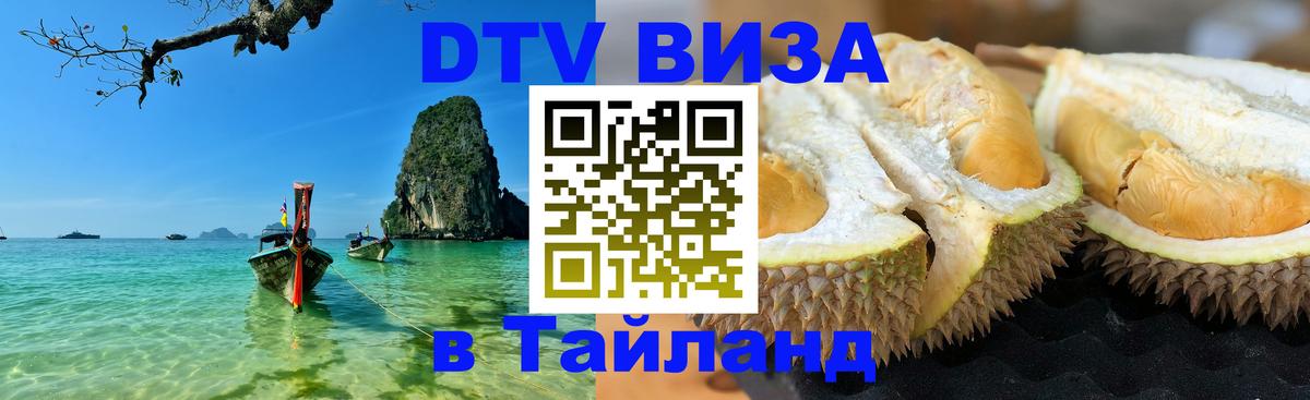 Оформление DTV визы под ключ: стоимость и тарифы, только загранпаспорт - 18.11.2025 
